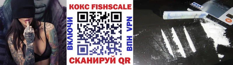 КОКАИН Fish Scale  omg ССЫЛКА  Ульяновск 