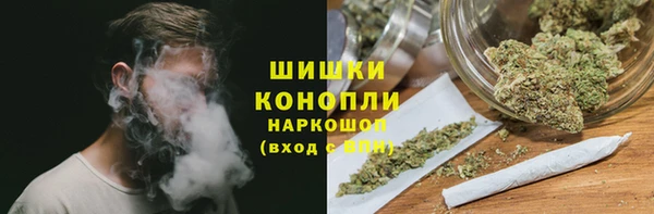 ПСИЛОЦИБИНОВЫЕ ГРИБЫ Новодвинск