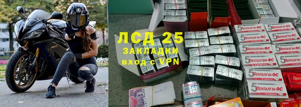 спиды Новокубанск