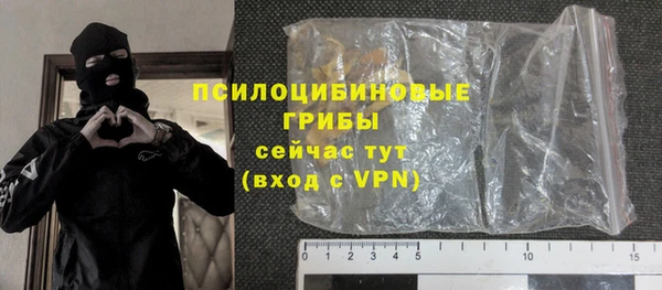 ПСИЛОЦИБИНОВЫЕ ГРИБЫ Новодвинск