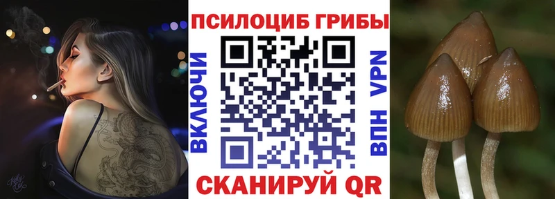 купить наркотик Ульяновск Галлюциногенные грибы GOLDEN TEACHER